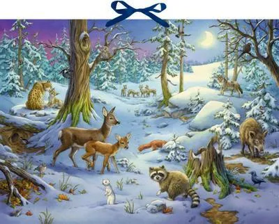 Image de Calendrier de l'Avent sonore - Entendez-vous les animaux de la forêt hivernale ?