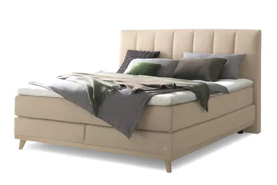 Produktbild von HASENA Boxspringbett Stefania sand Holz Eiche bright 200x200 : Topper - Glamour Top (soft)