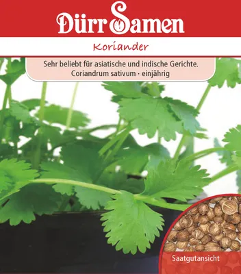 Produktbild von Dürr-Samen - Koriander - Saatgut - 0198