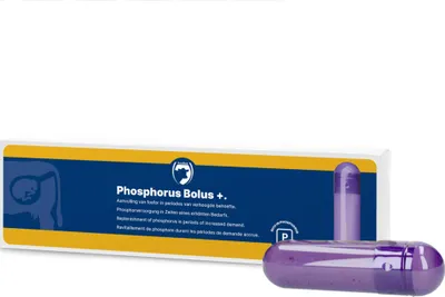 Image de Bolus+ de phosphore