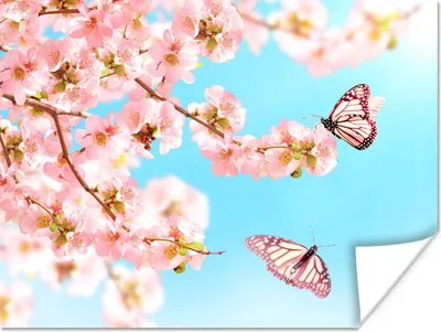 Produktbild von MuchoWow® Poster Schmetterlinge - Baum - Blumen 120x90 cm - Wandbild