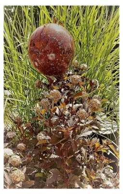 Produktbild von Gartenstecker Rosenkugel 10 cm Edelstahl mit Granitlackierung rot, Stab 80 cm