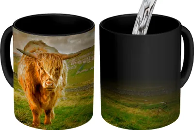 Obrázek produktu pro MuchoWow® Kouzelný pohár Skotský horal - Tráva - Hora 350 ml Barva měnící se pohár Dárkový nápad - foto hrnek
