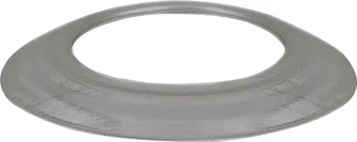 Immagine prodotto di Bertrams 1977162 Rosone per camino 150 mm, grigio