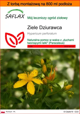 Zdjęcie produktu dla SAFLAX - Garden in the bag - Ziele Dziurawca - 300 Nasiona - Z podłożem uprawowym w praktycznej, samorozkładającej się torbie - Hypericum perforatum