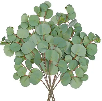 Image de Branches d'eucalyptus artificielles, 77 cm, vertes, pour la décoration