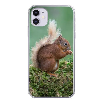 Produktbild von MuchoWow® Handyhülle Schutzhülle Hülle für iPhone 11 Waldtier - Eichhörnchen - Moos Silikon Softcase Handy Hülle - Handytasche