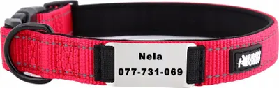 Produktbild von HUGGY DOGGY Welpenhalsband mit Namen und Telefonnummer SOLID XS