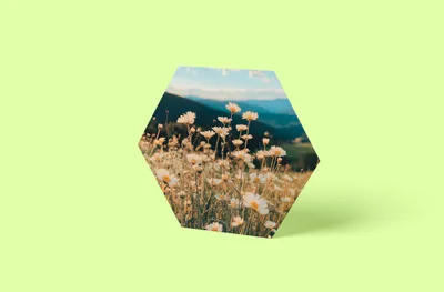 Produktbild von Blumenwiese Alpen Hexagon Wandbild | Größe in cm: 30 x 30