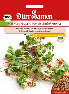 Produktbild von Keimsprossen Ruca Salatrauke | -Keimsprossen von Dürr Samen