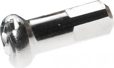 Image de Embout DT Swiss M 2X16, nickelé