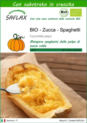 Immagine prodotto di SAFLAX  -- Zucca - Spaghetti - 5 semi - Con substrato - Cucurbita