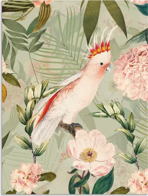 Produktbild von ARTland Wandbild Alu für Innen & Outdoor Vintage Papagei Größe: 30x40 cm