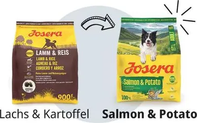 Produktbild von Josera | Hundefutter | Salmon & Potato 900g