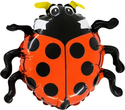 Productafbeelding van Luz Biedronka folievuilballon, 21 inch, 1 stuk.
