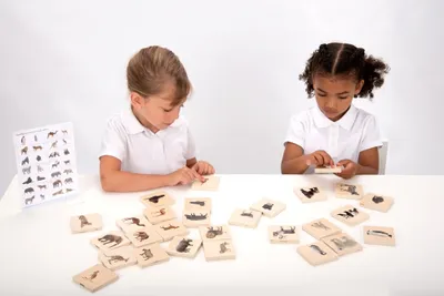 Obrázek produktu pro TickiT WILD ANIMAL FAMILY MATCH