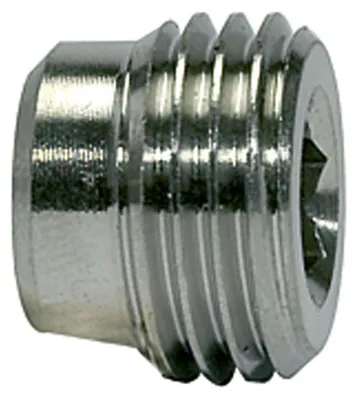 Produktbild von Riegler Verschlussschraube, Innensechskant, ohne Bund, G 1/8, ES 1.4571