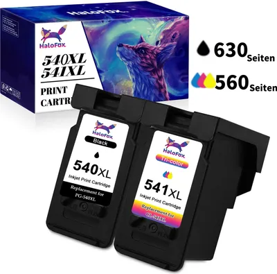A product shot of ink cartridges and their packaging.