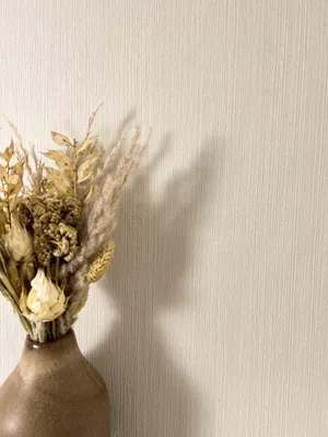 Produktbild von NEWROOM Tapete Raina Uni Beige Vliestapete - Modern Einfarbig Germany