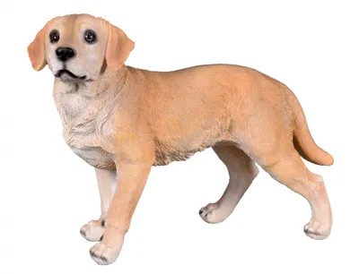 Image de Nohel Garden Dog Labrador debout 13x29x22cm