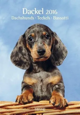 Immagine prodotto di Dackel 2016