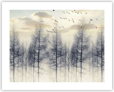 Produktbild von Poster - Poster ohne Rahmen - Bäume Vögel Himmel - 50x40 cm - Wand Bild - Wanddeko - Wandbilder - Kunstposter - Wandposter - Bilder - Kunstdruck - Wanddekoration - Wandbild - P2XAA50x40-4546