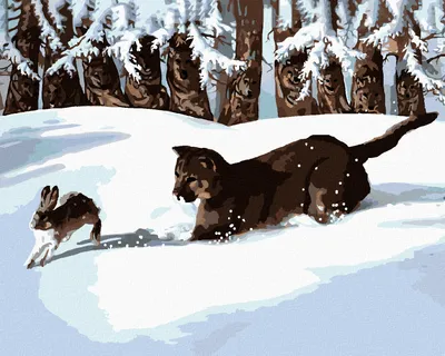 Produktbild von Zuty - Malen nach Zahlen - PUMA AUF HASENJAGD IM SCHNEE (D. RUSTY RUST), 40x50 cm, mit Keilrahmen (bereits gespannt)