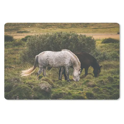 Produktbild von MuchoWow® Schreibtischunterlage Pferde - Gras - Strauch 60x40 cm - XXL Mauspad - Großes Mauspad
