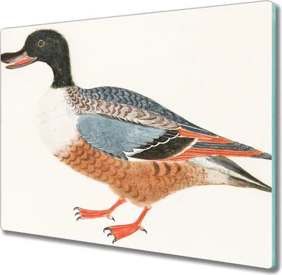 Produktbild von Coloray Hackbrett Herdabdeckplatte 60x52 cm Küchenbrett Kochplattenabdeckung Schneidebrett - Tierentenfedern