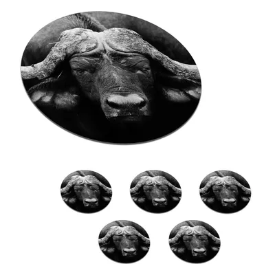 Produktbild von KitchenYeah® Glasuntersetzer Rund 6er Set Tiere - Büffel - Schwarz - Weiß - Porträt 10x10 cm Untersetzer für Gläser - Getränkeuntersetzer - Tischplattenschutz - Tischuntersetzer für Tassen Tisch Bar