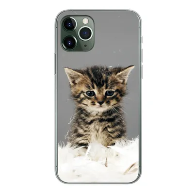 Produktbild von MuchoWow® Handyhülle Schutzhülle Hülle für iPhone 11 Pro Katze - Kätzchen - Federn Silikon Softcase Handy Hülle - Handy