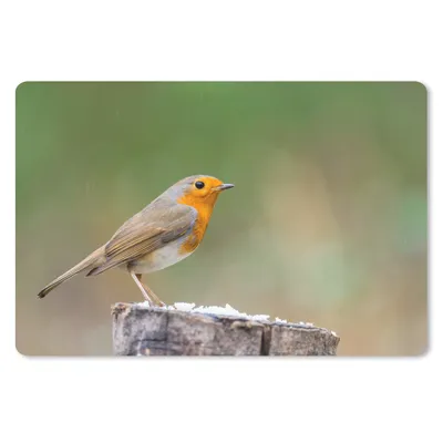 Produktbild von MuchoWow® Schreibtischunterlage Tiere - Vogel - Rotkehlchen 60x40 cm - XXL Mauspad - Großes Mauspad