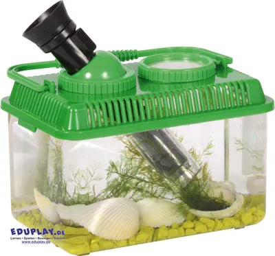 Produktbild von EDUPLAY 150122 Explorer Box, 16 x 9,5 x 10,5 cm, klar/grün/schwarz