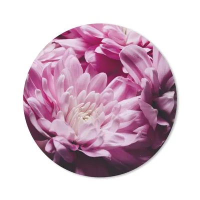 Produktbild von MuchoWow® Mauspad Mousepad Blumen - Rosa - Natur 50x50 cm - Mousepads - Maus Mat - Pad - Mausunterlage - Vinyl