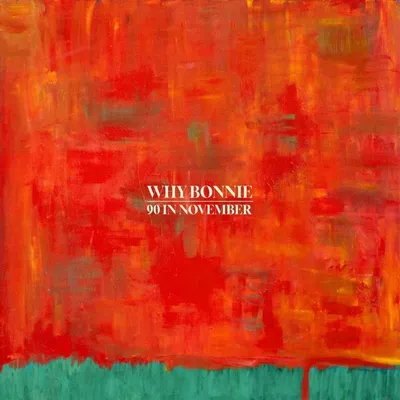 Obrázek produktu pro Why Bonnie: Why Bonnie - 90 In November - (CD / #)
