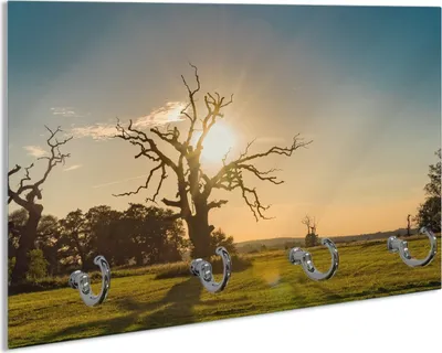 Produktbild von Wallario Handtuchhalter aus Glas, Motiv: Alte knochige Bäume bei Sonnenuntergang, 30 x 20 cm mit 4 Haken