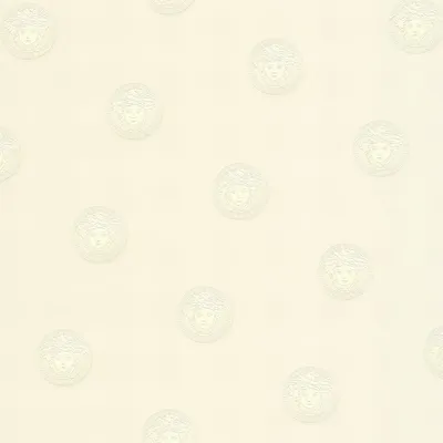 Zdjęcie produktu dla A.S. Creation Versace 3 | 348621 | Tapeta z włókniny w stylu vintage | 0,70 m x 10,05 m | Szara