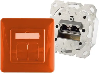 Immagine prodotto di presa di rete cat.6A a 2 ganci, arancione