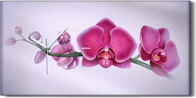 Produktbild von Wanduhr Uhr Wandbild Leinwand Geräuschlos 60x30 Aquarell Blumen Zweig Orchidee - weiße Hände
