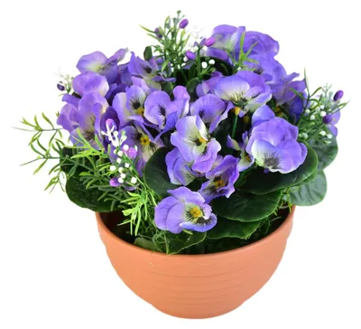 Obrázek produktu pro Macešky fialové v terakotové misce Ø20/ 21 cm