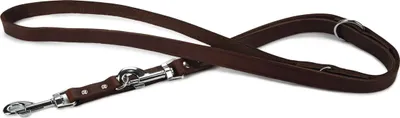 Produktbild von Beeztees - Hundeleine - Leder - braun - 200 x 20 cm