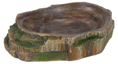 Produktbild von TRIXIE Wasser- und Futterschale im Regenwald Design, 10 x 2,5 x 7,5 cm