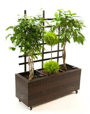 Produktbild von Elegant Einrichten | Pflanzkübel | Polyrattan | mit Rankgitter | rechteckig | 82x30x100cm | mocca.