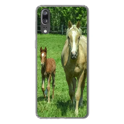 Produktbild von MuchoWow® Handyhülle Schutzhülle Hülle für Huawei P20 Pferd - Fohlen - Tiere Silikon Softcase Handy Hülle - Hardcover