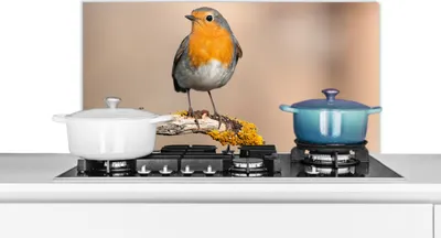 Produktbild von KitchenYeah®  Spritzschutz Küche - Küchenrückwand - Wandschutz für Herd und Spüle - Rotkehlchen - Vogel - Zweig - Tiere 90x45 - Alu-Dibond (Alternative zum Spritzschutz aus Glas) - Hitzebeständig - He