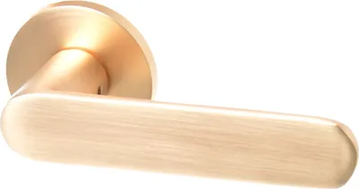 A close-up studio shot of a single gold-colored door handle on a white background.