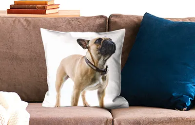 Produktbild von MuchoWow® Zierkissen Sofakissen Wohnzimmer Dekokissen 45x45 cm Französische Bulldogge - Halsband - Braun - Schlafpolster - Polster für das Sofa