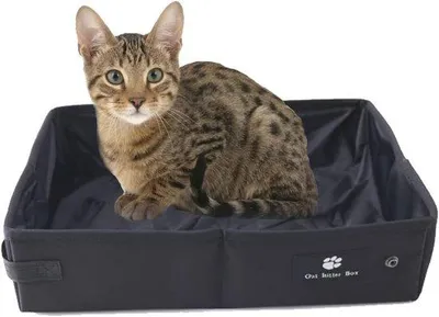 Produktbild von Famanu Tragbare Katzentoilette Wasserfest und Faltbar - 45 x 35 cm