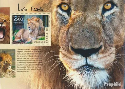 Produktbild von Briefmarken Togo 2014 Mi Block 1051 (kompl. Ausgabe) postfrisch Löwen