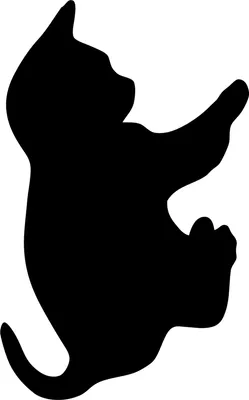 Obrázek produktu pro Securit FB-CAT, 300 x 500 mm, Melamin, Pryskyřice, Sychý zip, Černá
